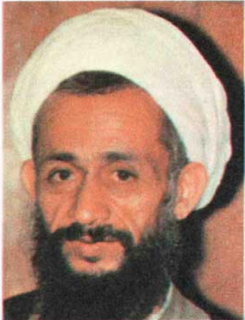 بررسی کتاب خاطرات شیخ علی تهرانی